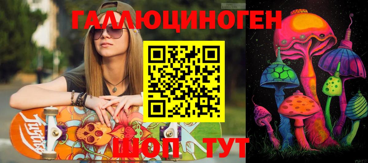 Галлюциногенные грибы Psilocybine cubensis Ишим