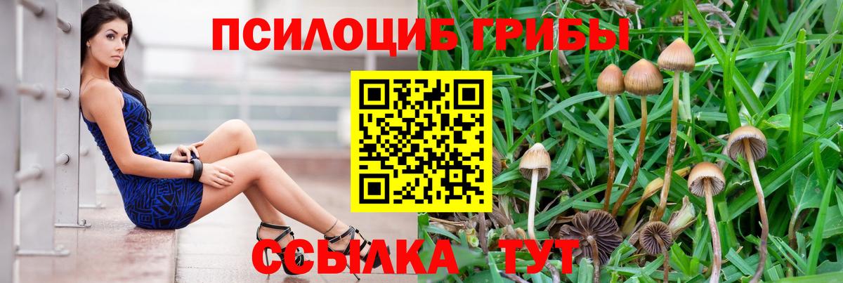 купить наркотик  Псилоцибиновые грибы мицелий  Вход с VPN  Ишим 