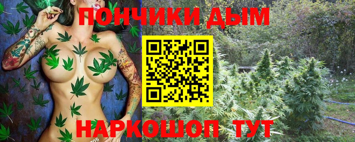 Ишим  Бошки Шишки марихуана  Бошки Шишки индика  Вход с VPN 
